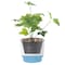 Gardenised White Flower Pot Self Watering Planter, PK 6 QI003985.6 - alternate 5
